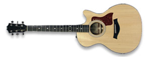 Image of Dionysis Guitar