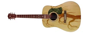 Image of Gaia Guitar